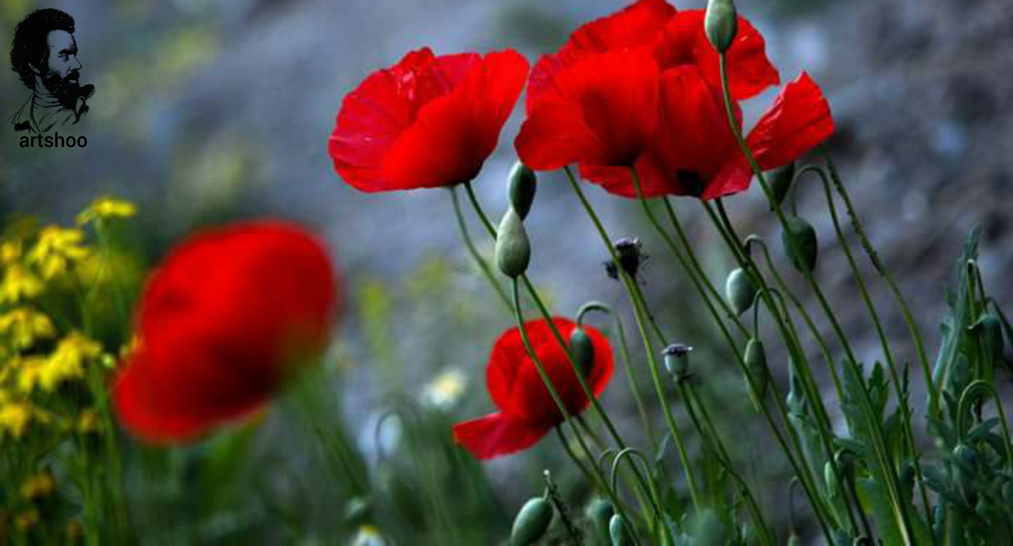 گل اورژینال رنگ روغن